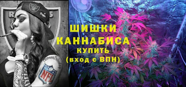 СК Бородино