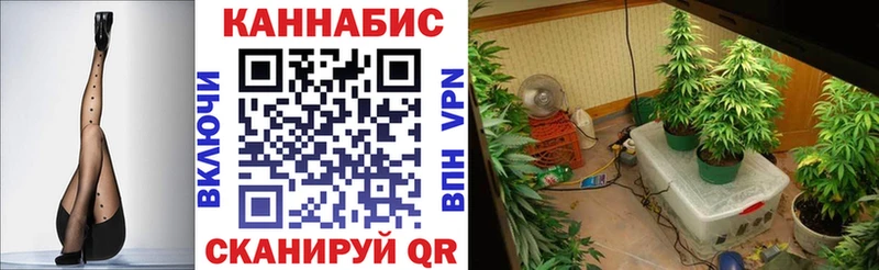 Канабис SATIVA & INDICA  Вилюйск 